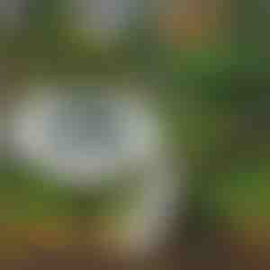 Solarne podne svjetiljke za vanjsku upotrebu (3 kom) | LUMIGARD