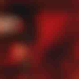 Dar koji govori ljubav | LOVEBEAR