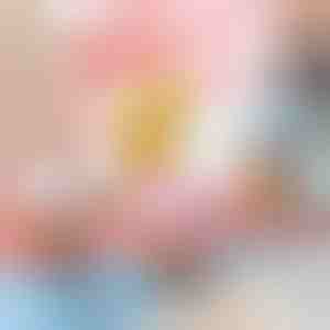 Igračka pile na navijanje koje skače (5 kom) | CHIKLET