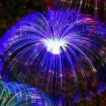 LUMIPALM