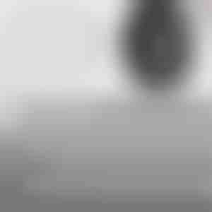 Brzozaptivni čavli za popravak guma | VULCOFIX