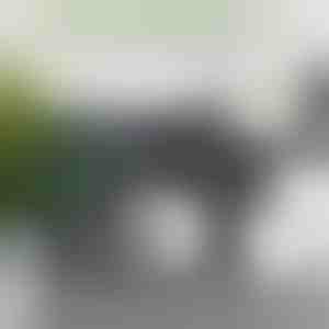 Pretvorite rezervnu rolu u ukras – 16 cm | ROLLSHEEP