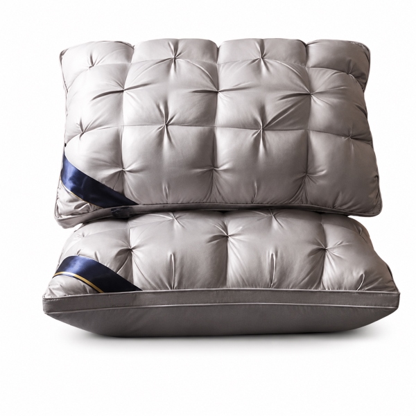 PILLOWLUX-3831127657327-N-11__300626